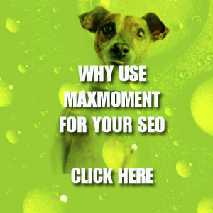 why use maxmoment for search engine optimisation